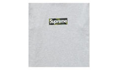 Box Logo T-Shirt "FW23 - Ash Grey" SU27080