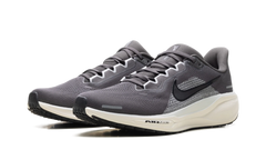 Air Zoom Pegasus 41 "Medium Ash Pure Platinum" FD2722 215