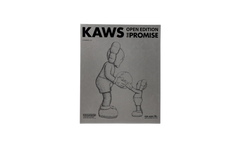 KAWS The Promise KAWS081