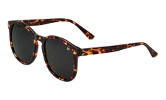 Revolution Acetate "Brown Tortoise / Black" MPRE2 0006 40T4